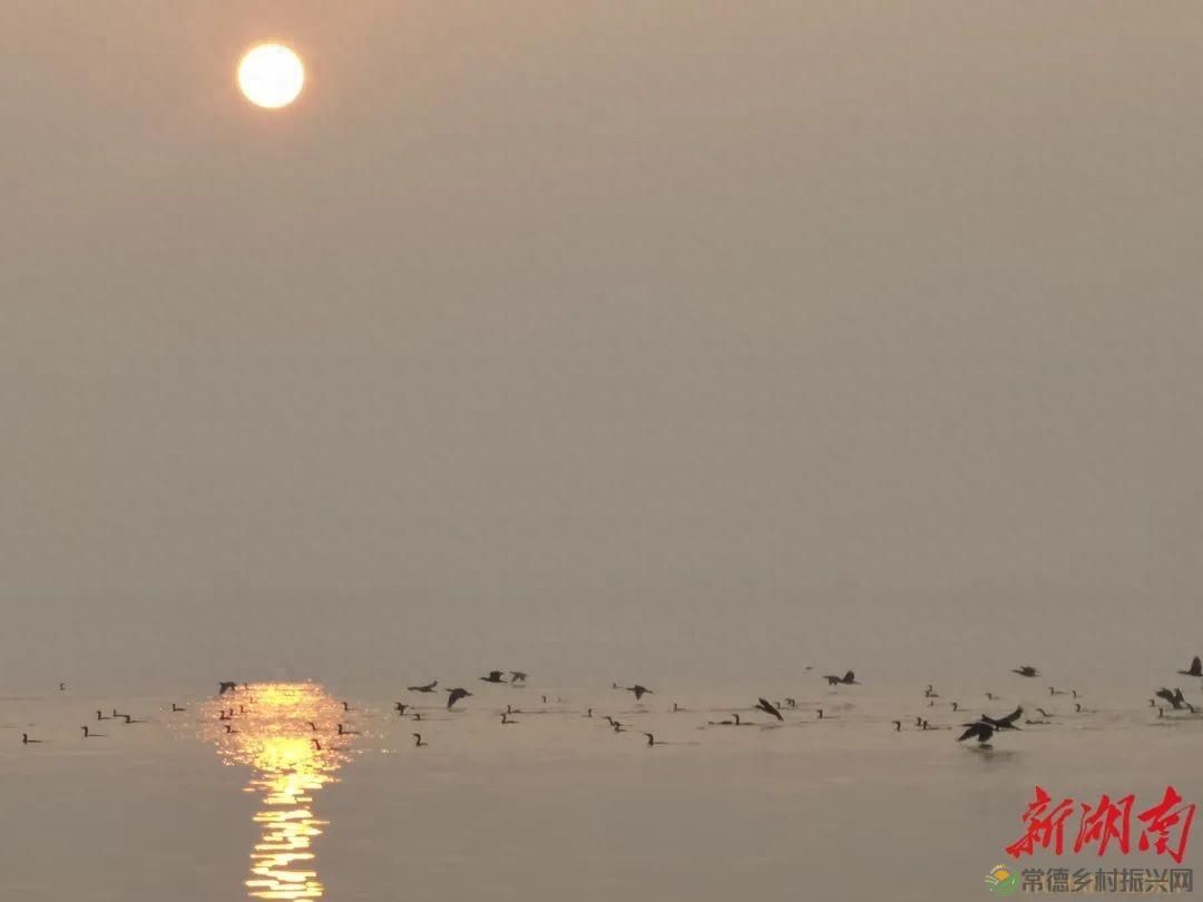 常德会员刘作云夫妇——“我们的快乐就是一起做公益”