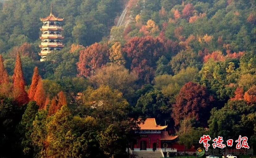 【红火大年 玩转常德】春节在常德怎么玩?超全文旅惠民攻略→(图15) 【红火大年 玩转常德】春节在常德怎么玩?超全文旅惠民攻略→(图15)