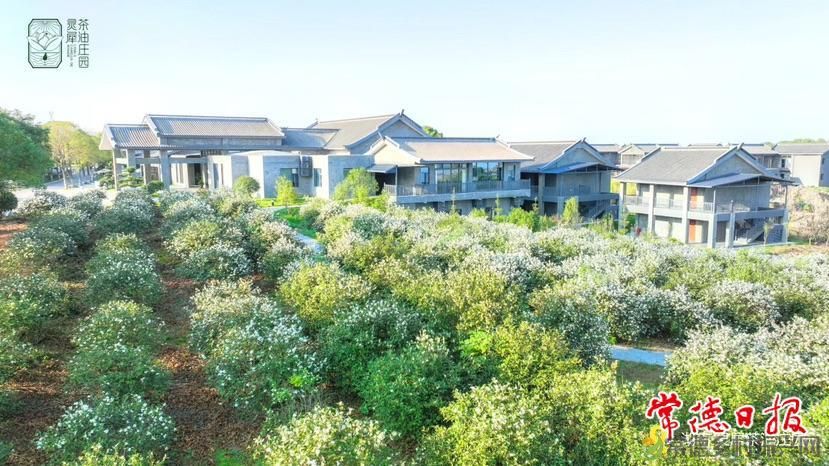 【红火大年 玩转常德】春节在常德怎么玩?超全文旅惠民攻略→(图22) 【红火大年 玩转常德】春节在常德怎么玩?超全文旅惠民攻略→(图22)