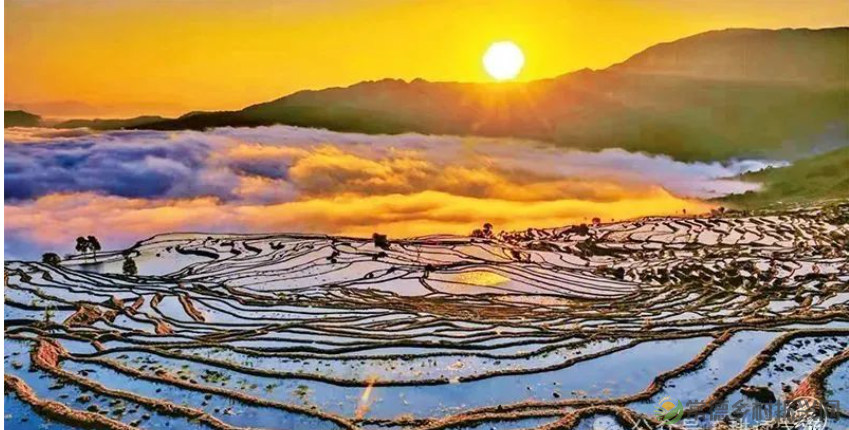 温铁军:回农村不是只能种地,乡村振兴激活大量新业态(图2) 1708669676332.png