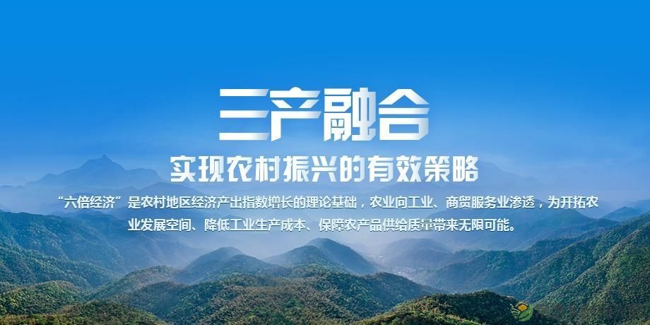 【乡见院】均益汇益耕乡建院乡村振兴协同五步曲(图7) 【乡见院】均益汇益耕乡建院乡村振兴协同五步曲(图7)