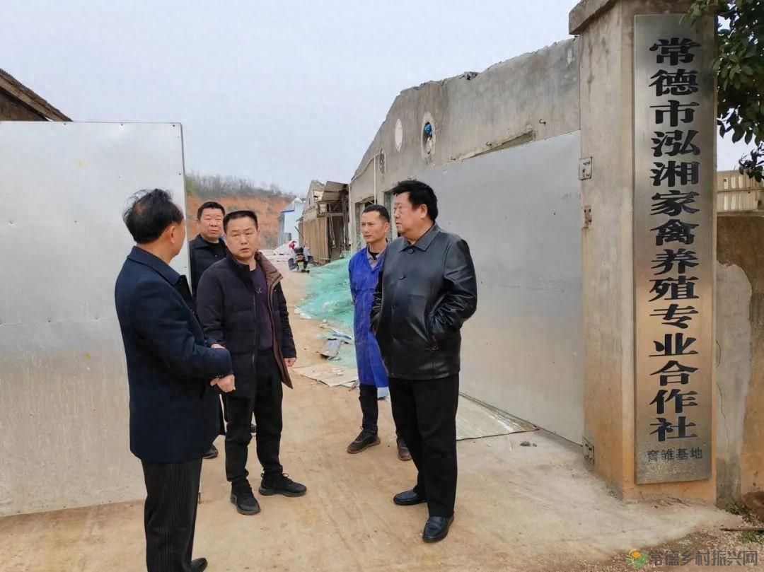 【牧渔常德】市畜牧水产事务中心领导调研养殖业灾后恢复生产工作