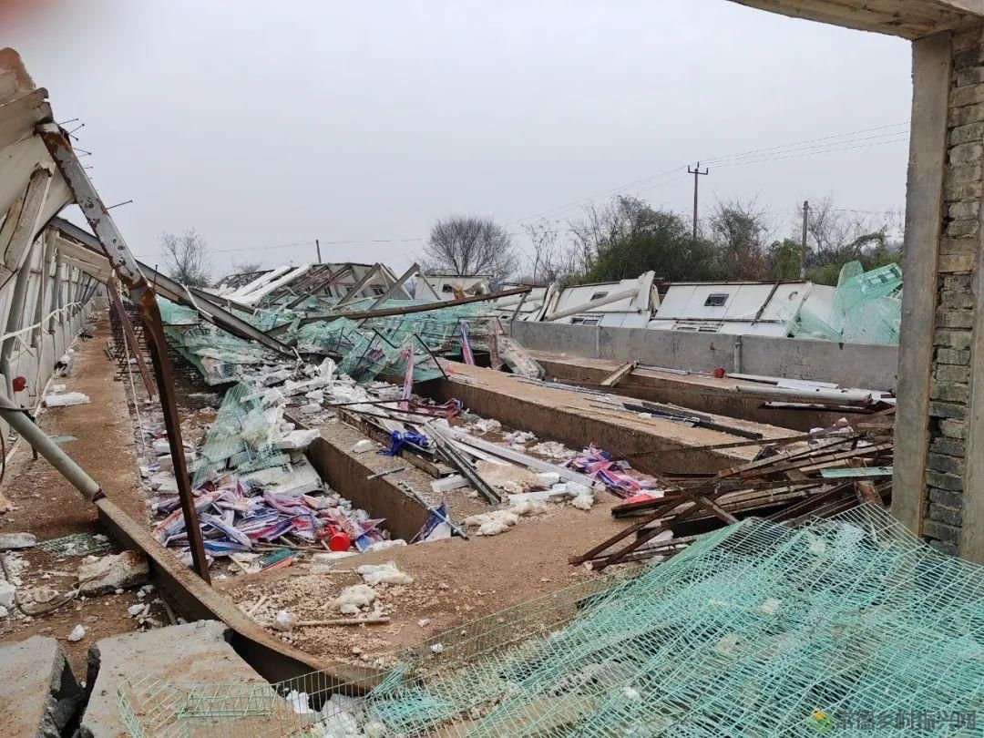 【牧渔常德】市畜牧水产事务中心领导调研养殖业灾后恢复生产工作(图2) 【牧渔常德】市畜牧水产事务中心领导调研养殖业灾后恢复生产工作(图2)