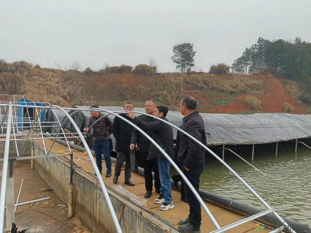 【牧渔常德】市畜牧水产事务中心指导水产养殖企业灾后复工复产