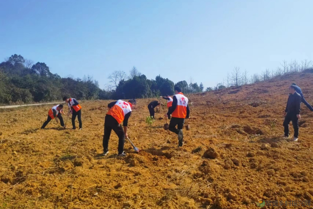 植此青绿 不负自然——常德市自然资源规划系统开展植树活动(图2) 植此青绿 不负自然——常德市自然资源规划系统开展植树活动(图2)