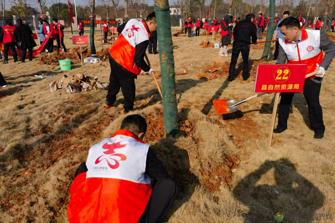 植此青绿 不负自然——常德市自然资源规划系统开展植树活动
