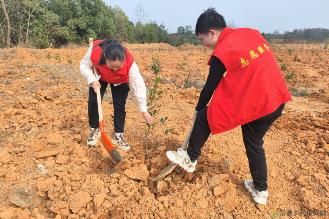 植此青绿 不负自然——常德市自然资源规划系统开展植树活动(图4) 植此青绿 不负自然——常德市自然资源规划系统开展植树活动(图4)