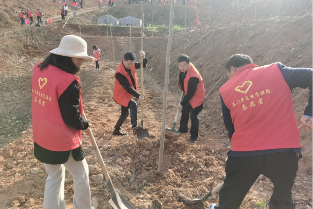 植此青绿 不负自然——常德市自然资源规划系统开展植树活动(图7) 植此青绿 不负自然——常德市自然资源规划系统开展植树活动(图7)