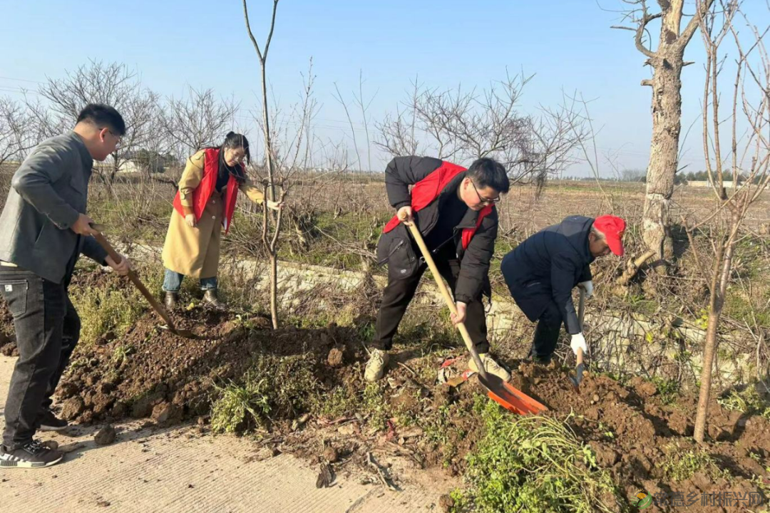 植此青绿 不负自然——常德市自然资源规划系统开展植树活动(图9) 植此青绿 不负自然——常德市自然资源规划系统开展植树活动(图9)