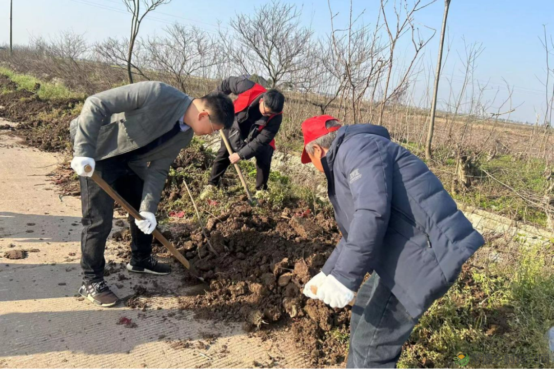 植此青绿 不负自然——常德市自然资源规划系统开展植树活动(图10) 植此青绿 不负自然——常德市自然资源规划系统开展植树活动(图10)