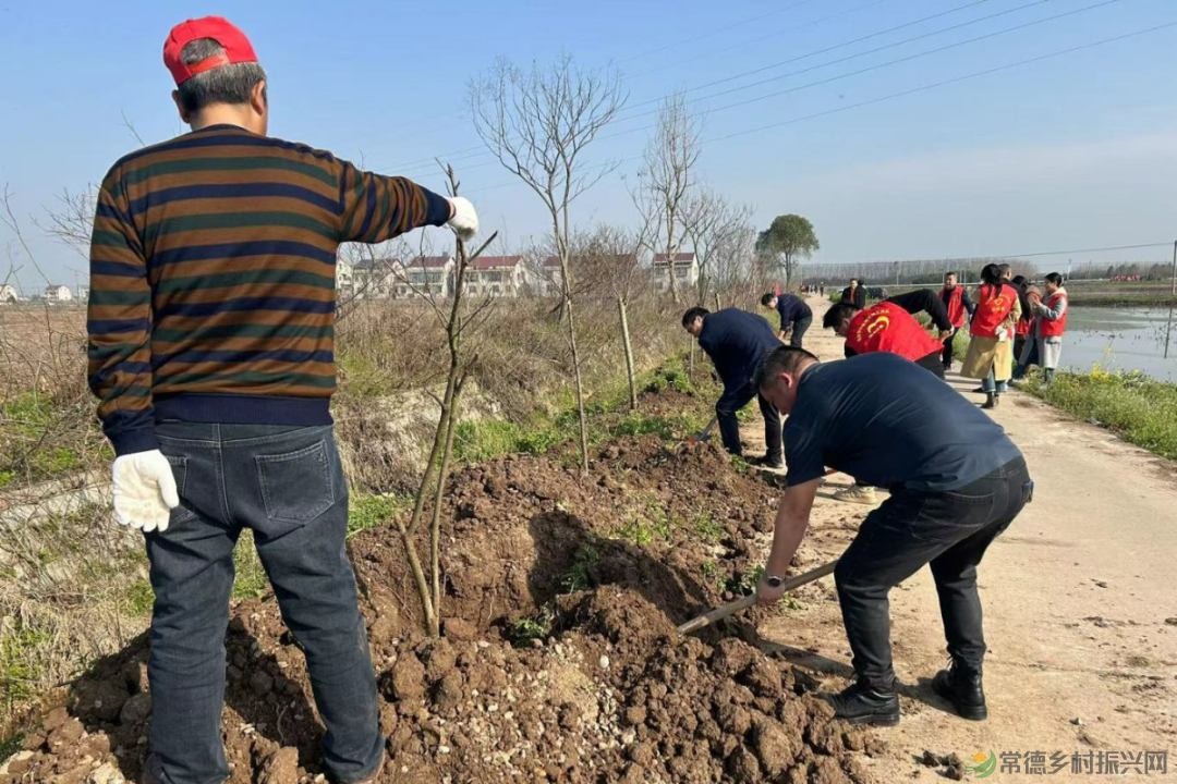 植此青绿 不负自然——常德市自然资源规划系统开展植树活动(图11) 植此青绿 不负自然——常德市自然资源规划系统开展植树活动(图11)