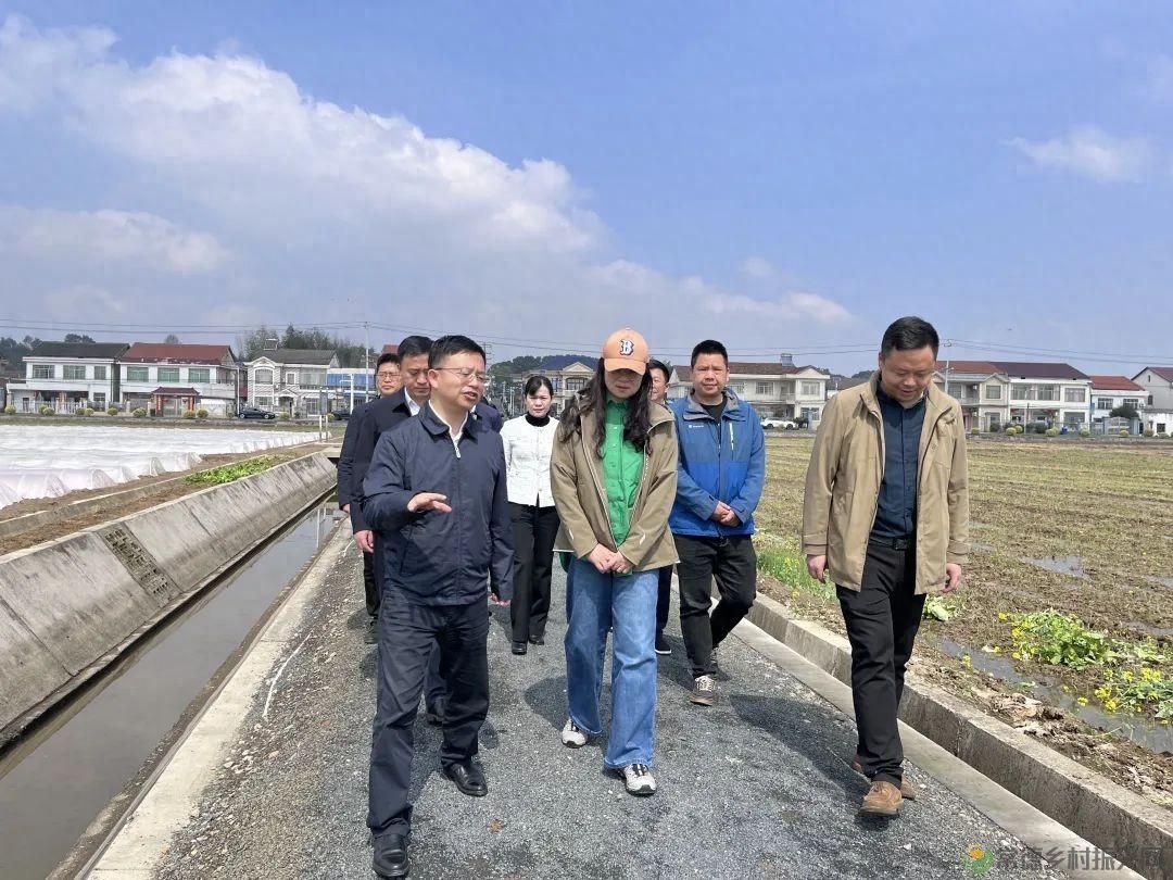 自然资源部调研组来常考察耕地保护工作