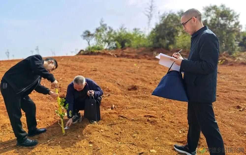 【常德林业】市林业局开展苗木质量抽检和执法宣传工作(图2) 【常德林业】市林业局开展苗木质量抽检和执法宣传工作(图2)