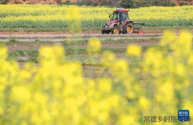 省委一号文件发布,鱼米之乡播下新“种子”(图3) 省委一号文件发布,鱼米之乡播下新“种子”(图3)