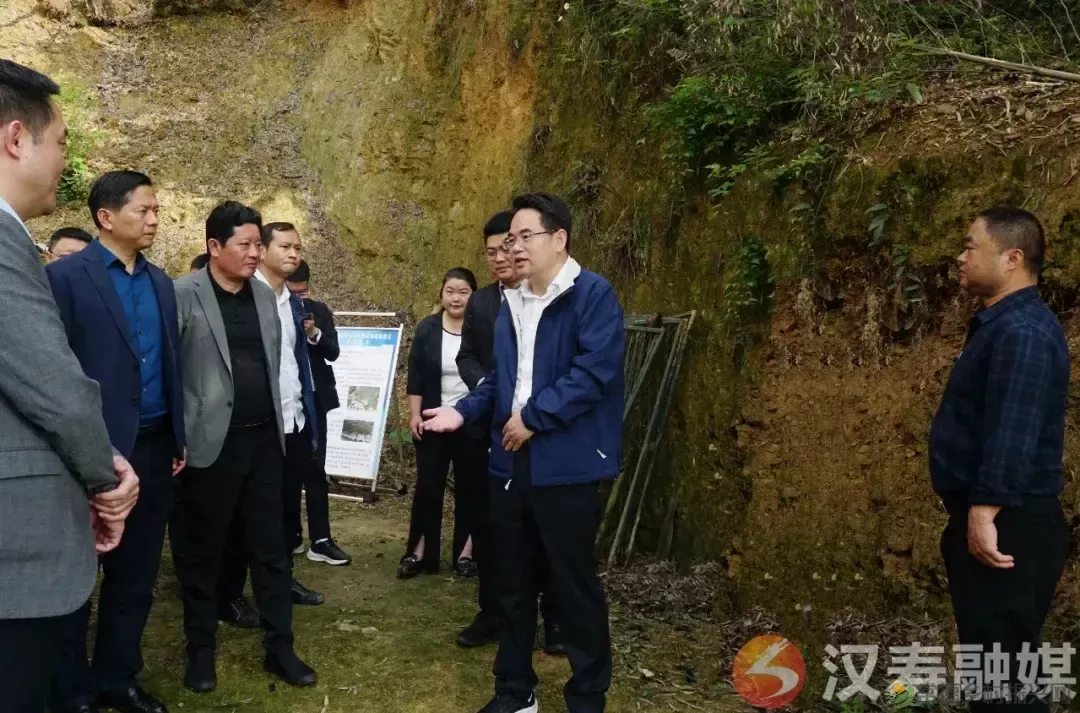 【地质灾害防治进行时】汉寿县委书记周功表调研地质灾害防治工作