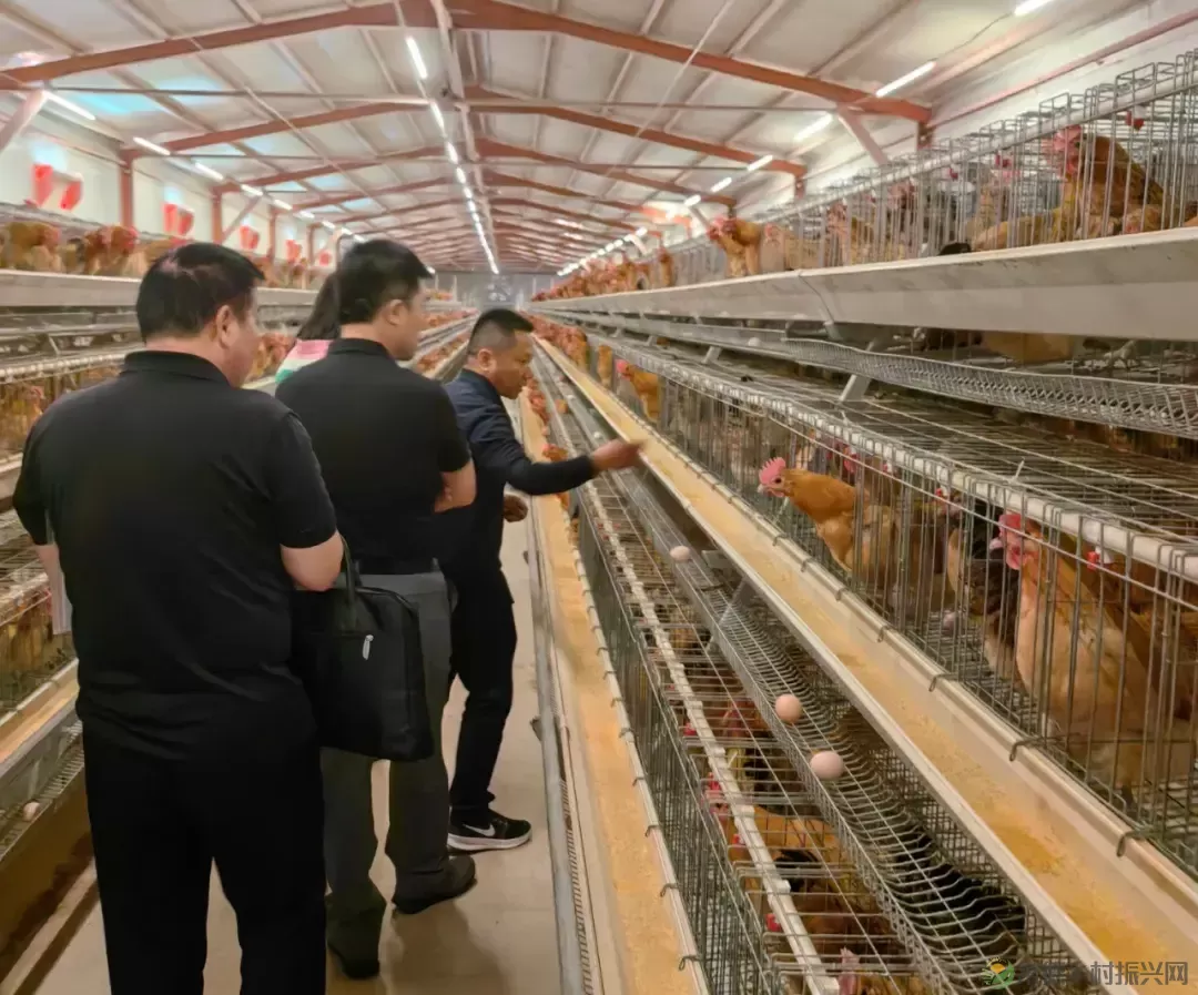 省评审专家组来我市开展畜禽种质资源保护绩效评价和验收工作(图2)