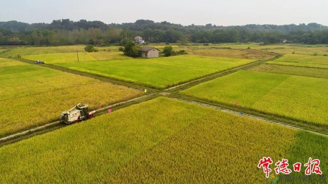 《常德市国土空间总体规划（2021—2035年）》的五个关键词①： “多规合一”，探寻城市空间的最大公约数(图3)