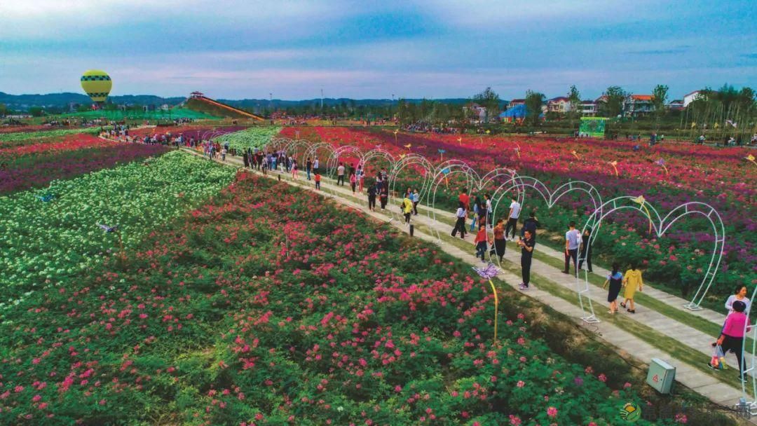 多条精品路线为您推介！这个五一，玩转桃源（附活动预告）(图11)