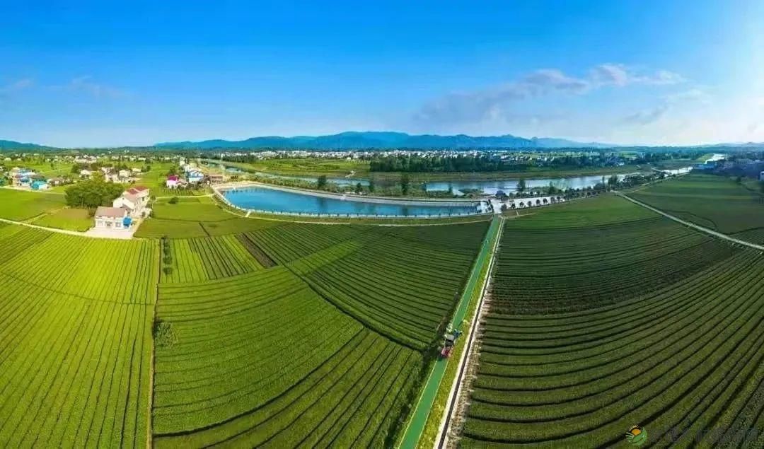 多条精品路线为您推介！这个五一，玩转桃源（附活动预告）(图16)