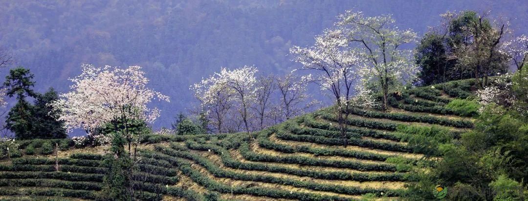 多条精品路线为您推介！这个五一，玩转桃源（附活动预告）(图22)