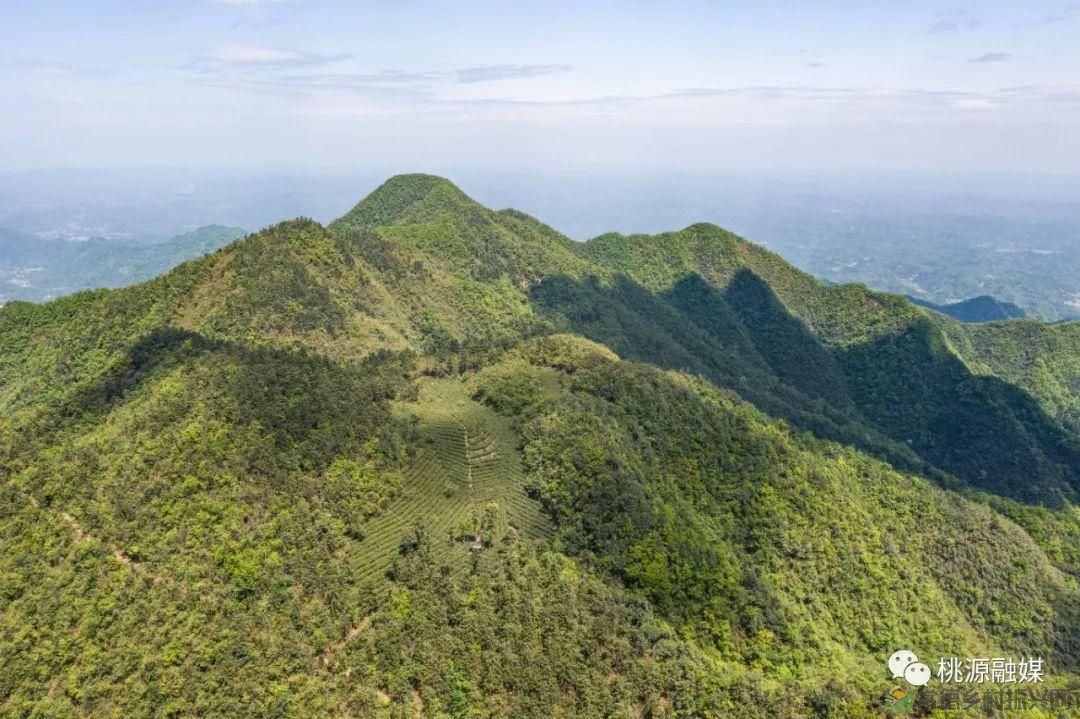 多条精品路线为您推介！这个五一，玩转桃源（附活动预告）(图21)
