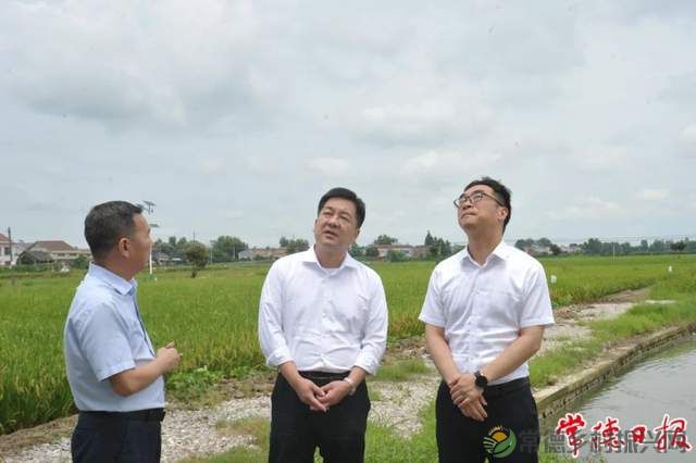 6.25全国土地日丨省自然资源厅在常开展巡田及地质灾害防治督导