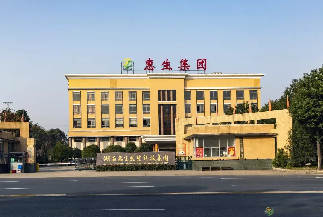 【百年惠生】一头“惠生”猪的“人生自白”(图3) 【百年惠生】一头“惠生”猪的“人生自白”(图3)