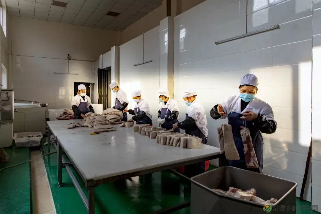 【百年惠生】一头“惠生”猪的“人生自白”(图4) 【百年惠生】一头“惠生”猪的“人生自白”(图4)