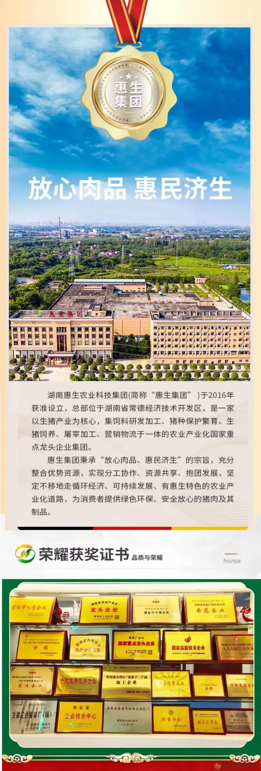 【百年惠生】一头“惠生”猪的“人生自白”(图7) 【百年惠生】一头“惠生”猪的“人生自白”(图7)