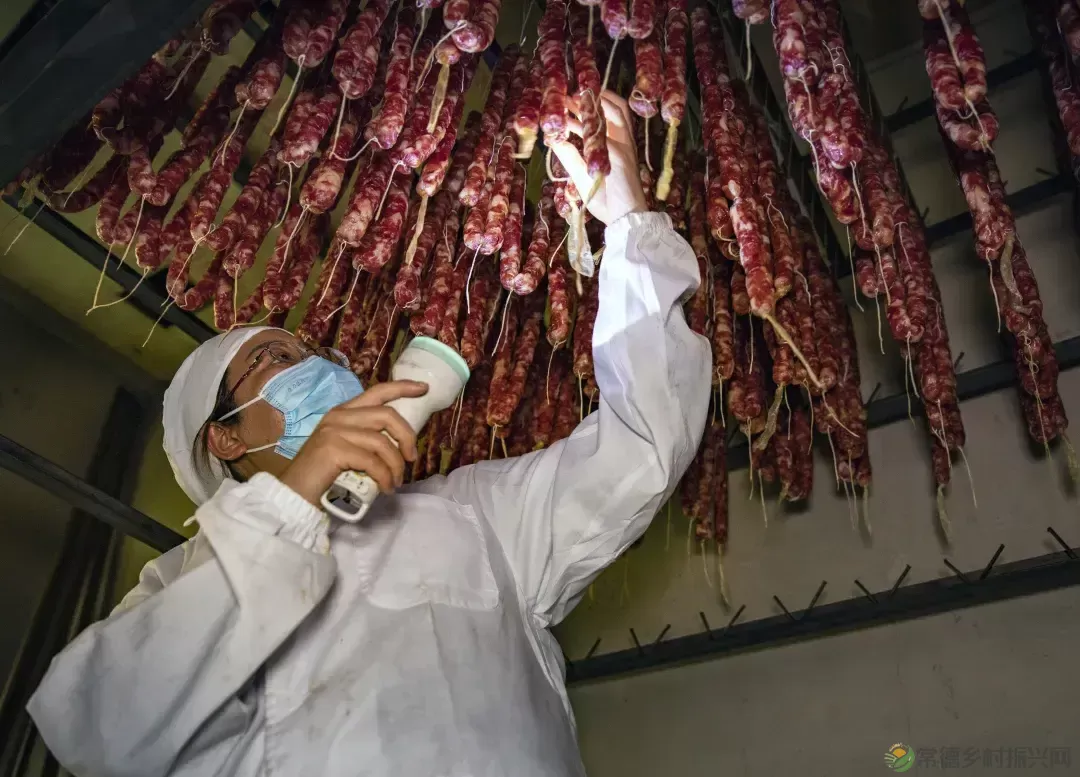 【百年惠生】一头“惠生”猪的“人生自白”(图8) 【百年惠生】一头“惠生”猪的“人生自白”(图8)