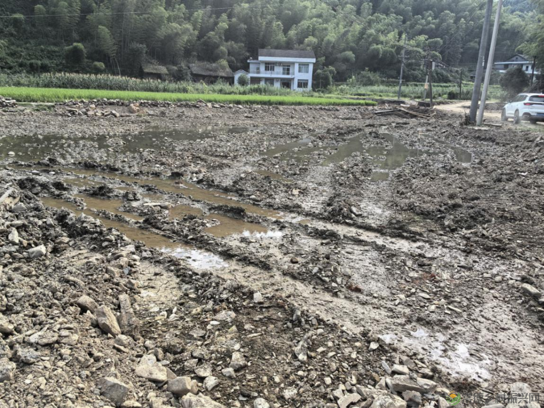 常德市自然资源和规划局指导受灾严重地区推进灾毁耕地修复工作(图2) 常德市自然资源和规划局指导受灾严重地区推进灾毁耕地修复工作(图2)