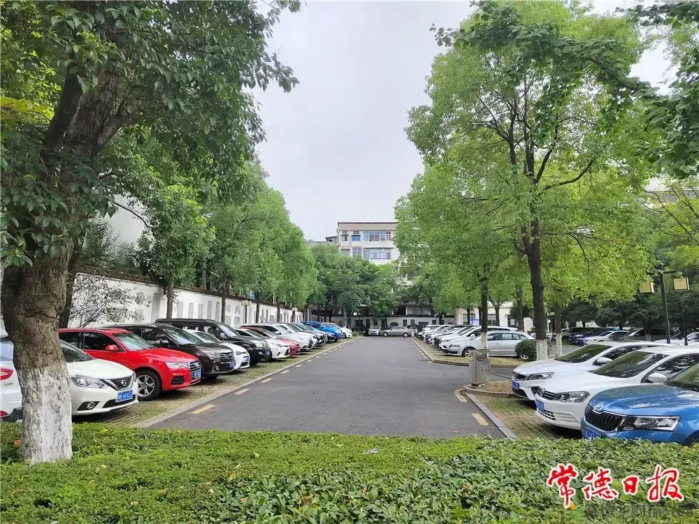 “七张民生名片”背后的幸福密码(图4)