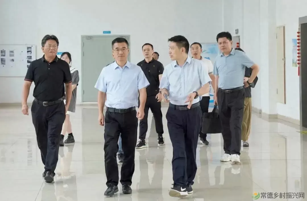 市领导调研预制菜产业