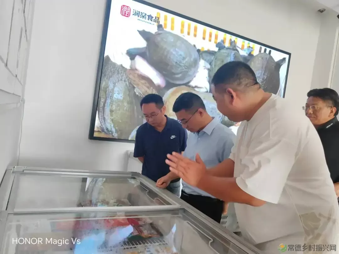 市领导调研预制菜产业(图3)