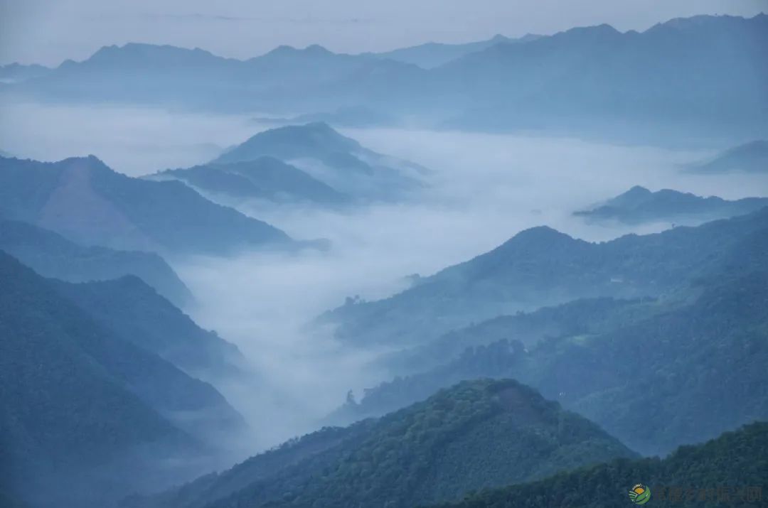 从今天起,你又多了一个爱上沙坪的理由!(图2) 从今天起,你又多了一个爱上沙坪的理由!(图2)