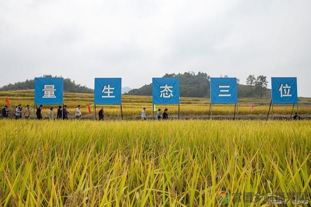 三农工作指的是什么，你知道吗？