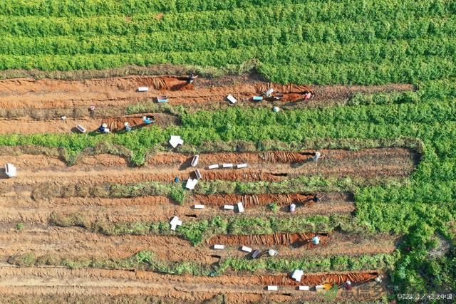 三农工作指的是什么，你知道吗？(图2)