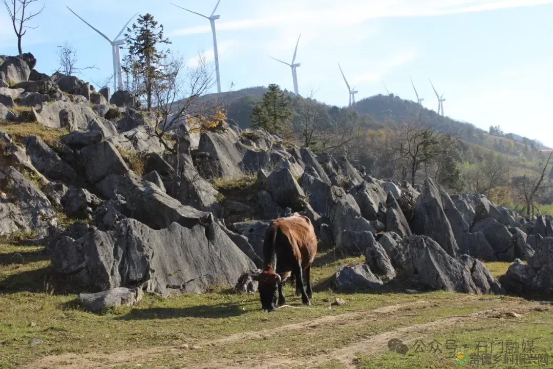 重磅!这里风光最太平 2024第二届石门太平高山草场民谣音乐会震撼来袭!(图8) 重磅!这里风光最太平 2024第二届石门太平高山草场民谣音乐会震撼来袭!(图8)