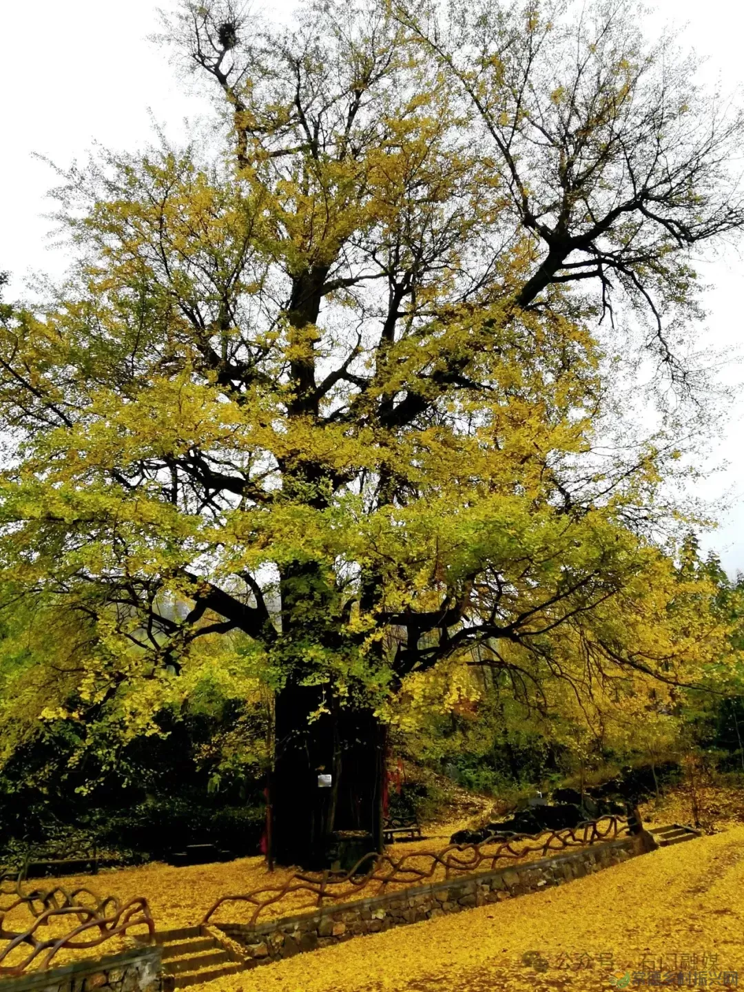 重磅!这里风光最太平 2024第二届石门太平高山草场民谣音乐会震撼来袭!(图19) 重磅!这里风光最太平 2024第二届石门太平高山草场民谣音乐会震撼来袭!(图19)