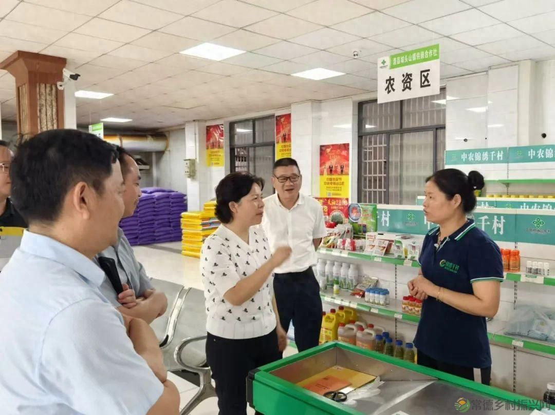 市供销社调研澧县、武陵区供销社综合改革重点工作推进情况(图1)