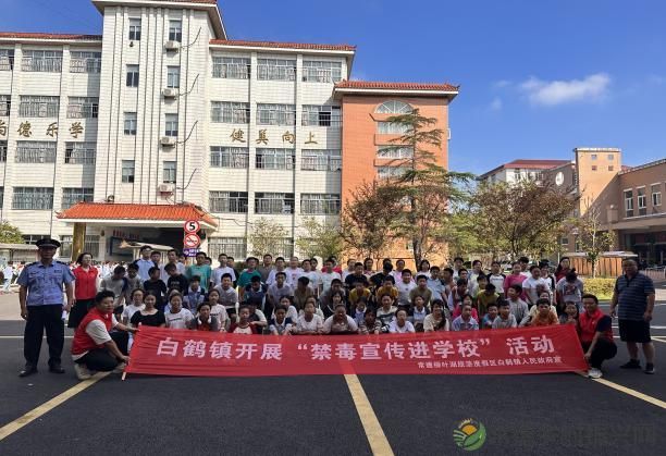 常德柳叶湖白鹤镇中学开展防范青少年药物滥用宣传活动