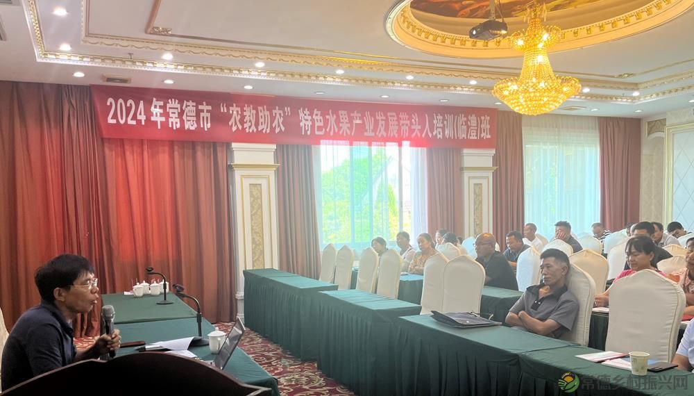 2024年常德市“农教助农”特色水果产业发展带头人培训班开班(图2) e294278acb1f42d78b959eba87aea237.jpg