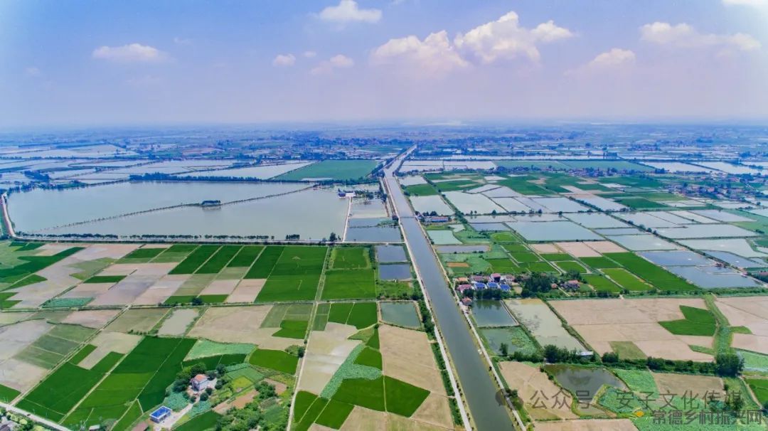 【牧渔常德】湖南甲鱼首次出口非洲：旅行者的美味攻略与独特体验