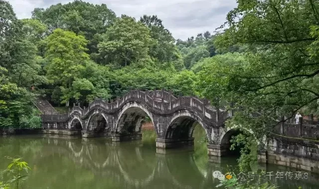 湖南米粉第一城:常德,何以叫板全湖南?(图11) 湖南米粉第一城:常德,何以叫板全湖南?(图11)