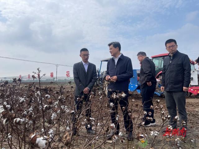 推进湖南棉花生产机械化进程！现场观摩会在常德举行(图3)