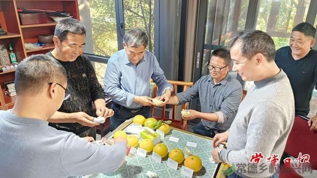 科技创新“点亮”乡村生活——常德市农林科学研究院助力全市农业产业发展纪实(图7)