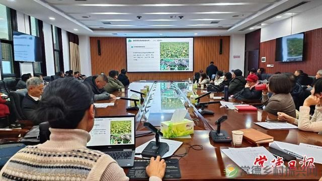 科技创新“点亮”乡村生活——常德市农林科学研究院助力全市农业产业发展纪实(图9)