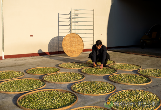 1732949952553560.png 图片