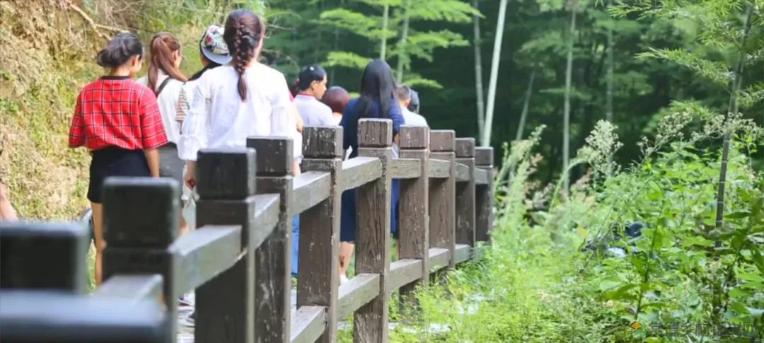 大美!临澧这地被评为省级水利风景区→(图12) 图片