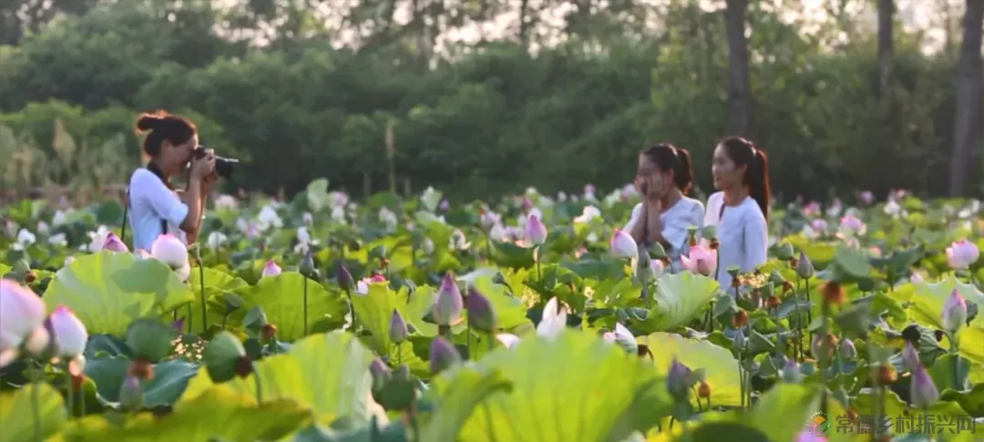 大美!临澧这地被评为省级水利风景区→(图13) 图片